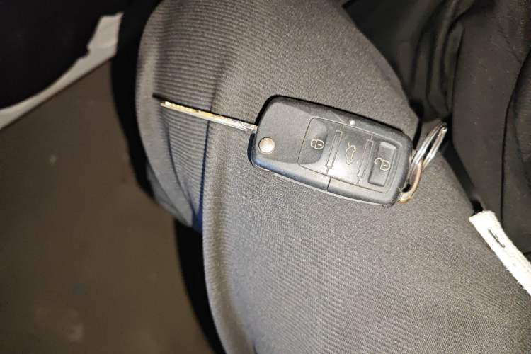 Used Jinbei Gold Hiace M Classic 2022 Panda Edition 1.5L Travel Lion Passenger Van 5 Seats