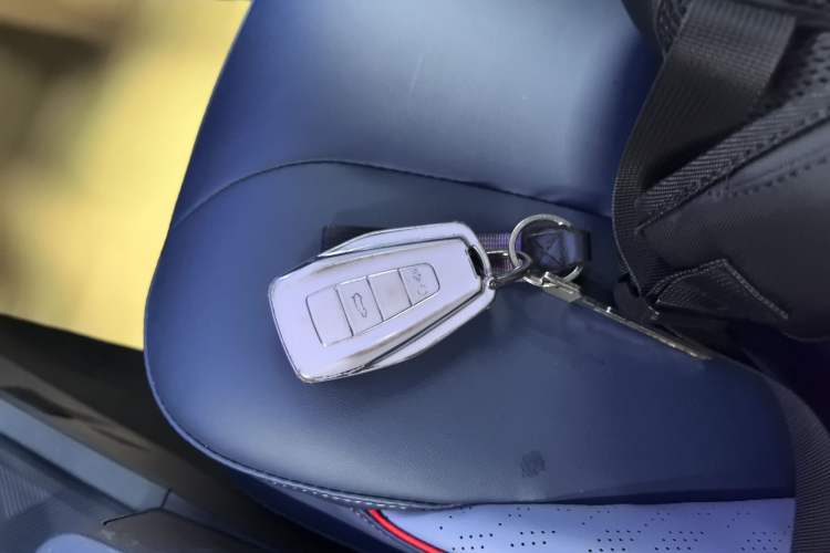 Used Geometry E Firefly 2022 320KM Cute Tiger 4-Seater