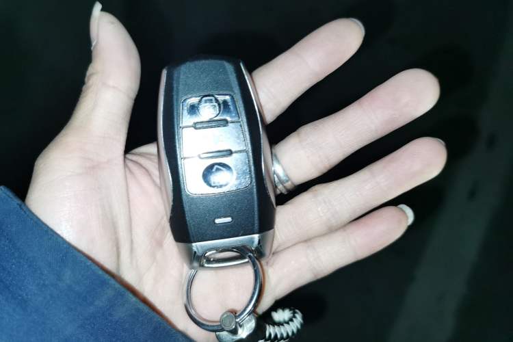 Used Haval H6 Coupe 2015 Blue Label 2.0T Automatic Two-Wheel Drive Elite Model