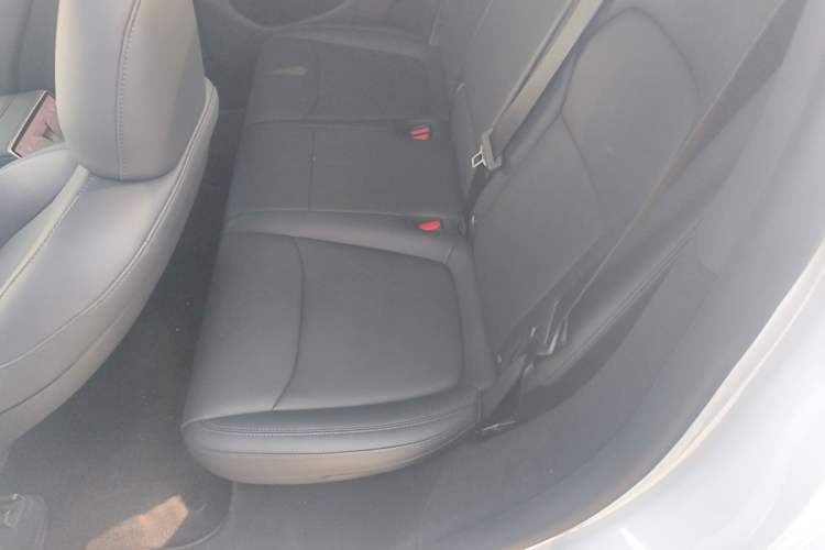 Used Tesla Model Y 2025 Long-Range All-Wheel Drive First Edition Left Rear Seat