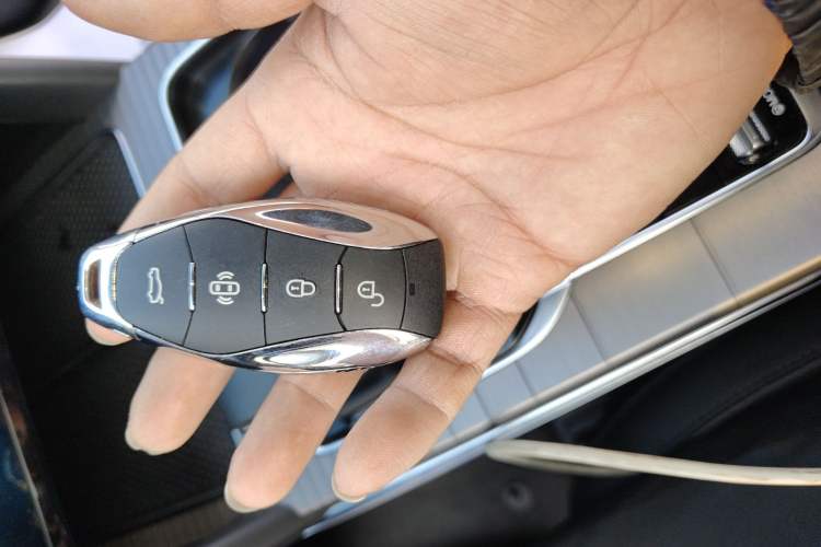 Used Hongqi HS7 PHEV 2024 2.0T PHEV Four-Wheel Drive Flagship Edition 6 Seats
