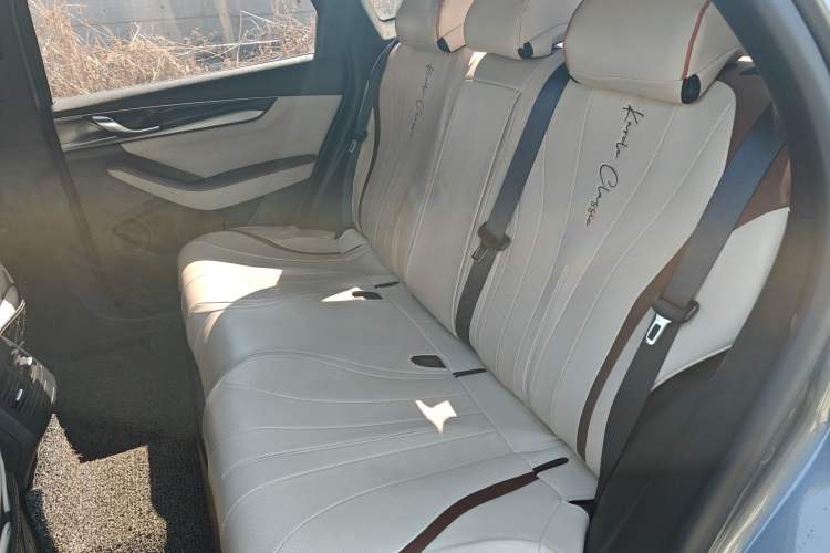 Used BYD Qin PLUS 2023 Champion Edition DM-i 120KM Leading Model Left Rear Seat