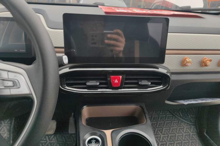 Used SOL E10X 2022 Flower Fairy Design Four-Leaf Clover
