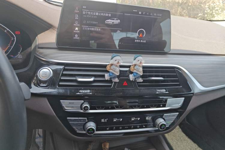 Used BMW 5 Series 2020 530Li Leading Edition Luxury Package