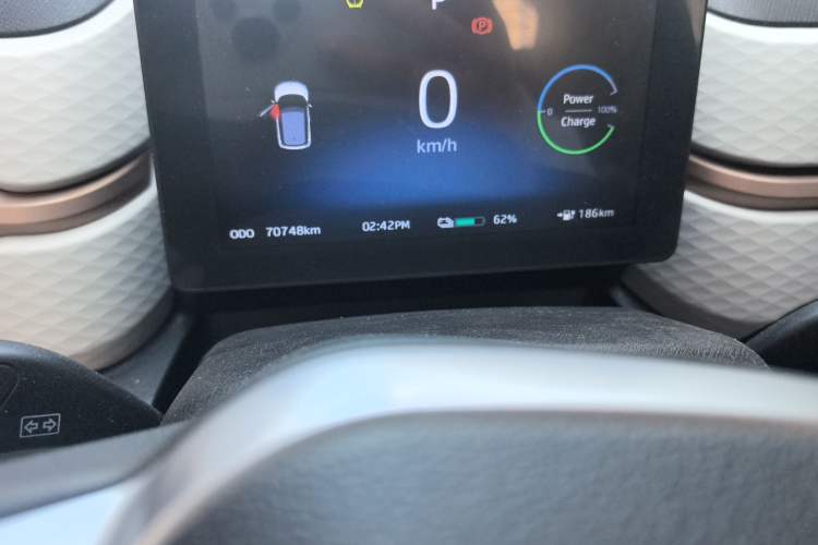 Used SOL E10X 2022 Flower Fairy Design Four-Leaf Clover Odometer Close Up