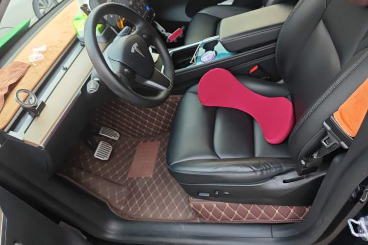 Used Tesla Model Y 2021 Standard Range Rear-Wheel Drive Version
