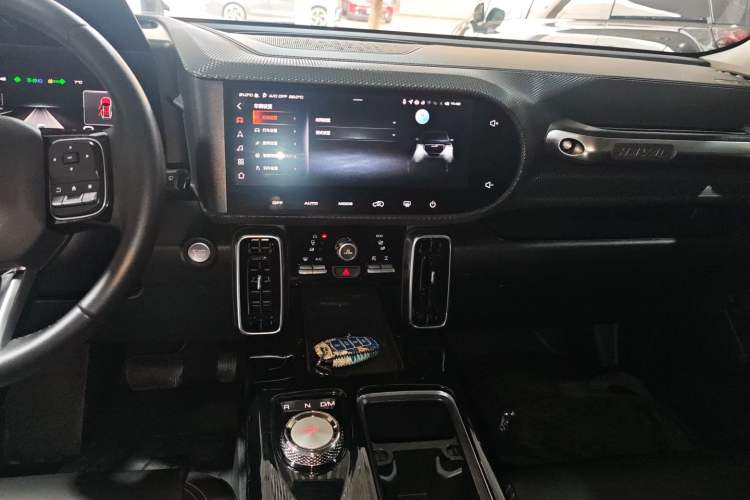 Used Haval DARGO 2021 2.0T DCT 4x4 Chinese Rural Dog Edition
