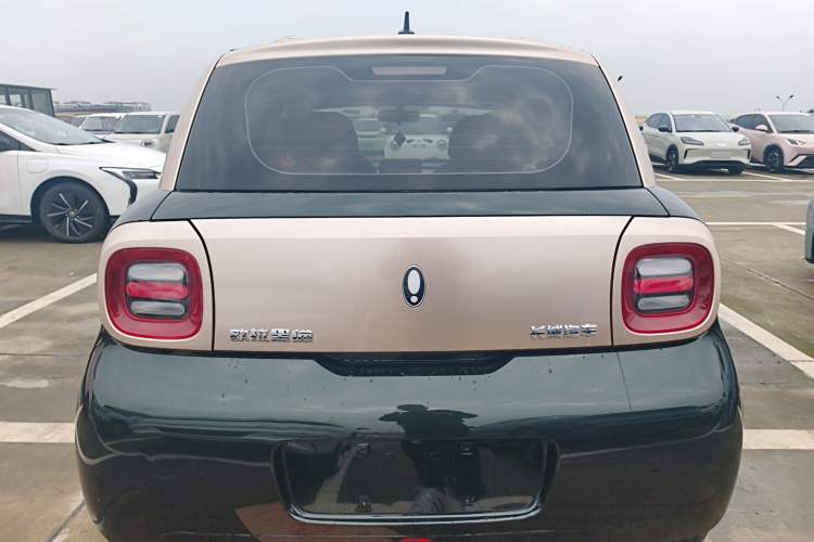 Used ORA Black Cat 2021 301km Cute Pet Edition Rear