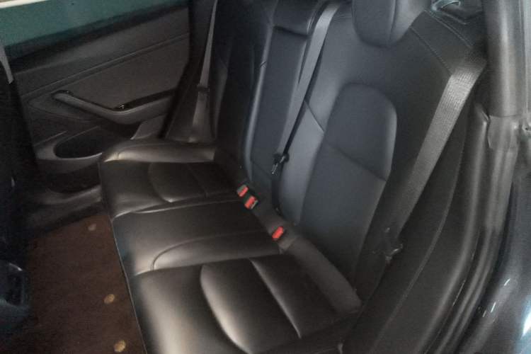 Used Tesla Model 3 2020 Revised Version Standard Range Rear-Wheel Drive – Upgraded Edition
