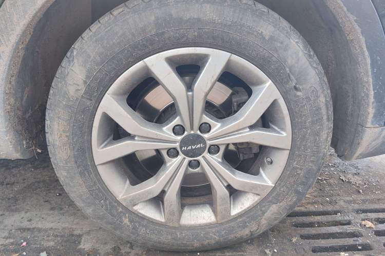 Used Haval H6 2021 National Trend Edition 1.5T Automatic Champion Version
