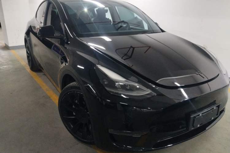 Used Tesla Model Y 2021 Standard Range Rear-Wheel Drive Version
