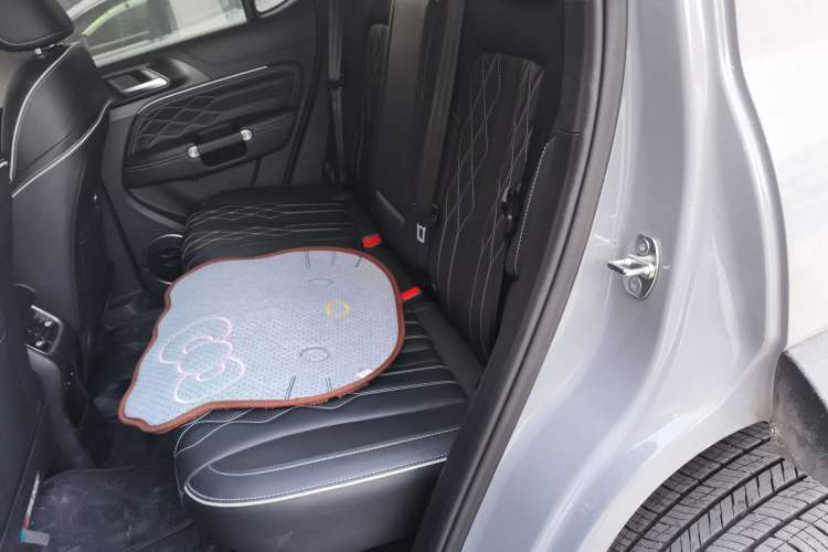 Used Tank 300 2024 2.0T Challenger
