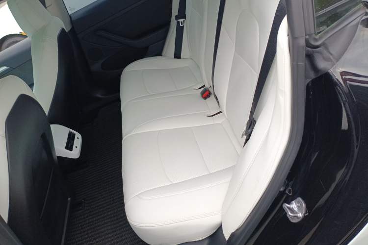 Used Tesla Model 3 2022 Rear-Wheel-Drive Version