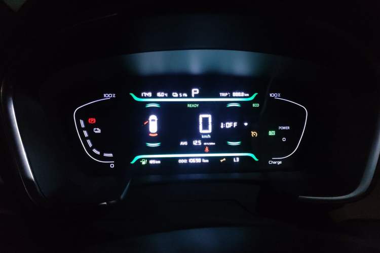 Used Livan Maple 80V 