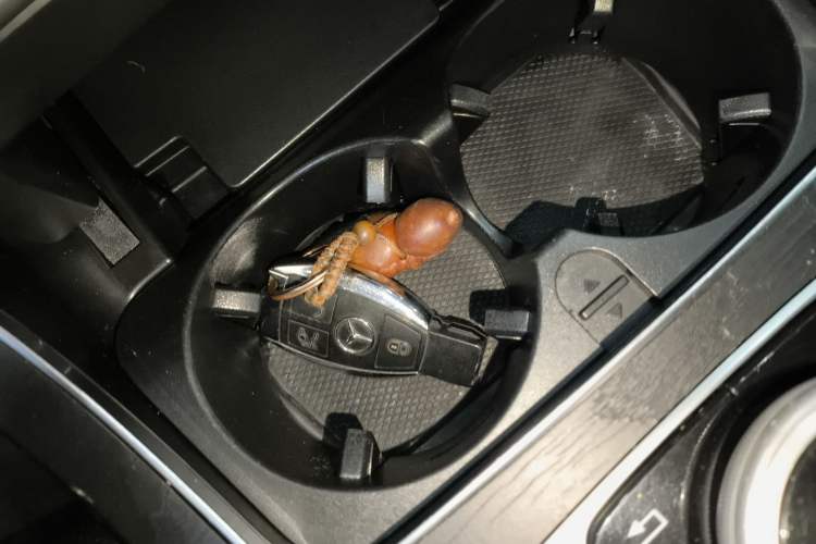 Used Mercedes-Benz C-Class 2018 C 200 L Sport Edition
