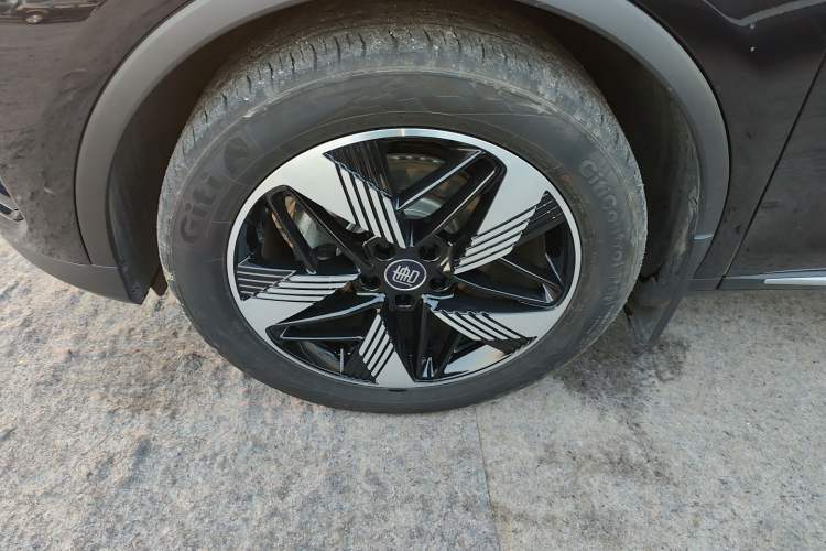 Used BYD Tang New Energy 2024 DM-i Glory Edition 112KM Prestige Model