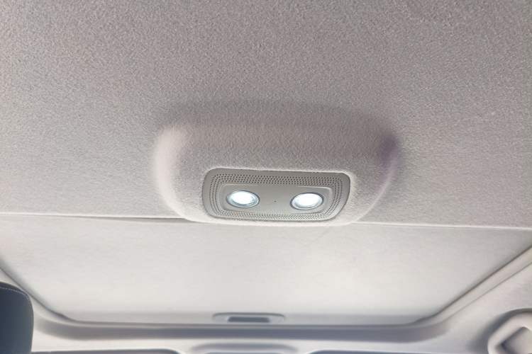 Used BYD Qin New Energy 2019 High-Range Deluxe Model Headliner