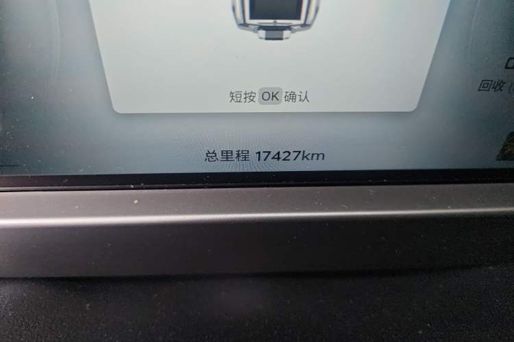 Used JETOUR Shanhai Traveler C-DM 2024 C-DM 206KM Four-Wheel Drive Wilderness Edition
