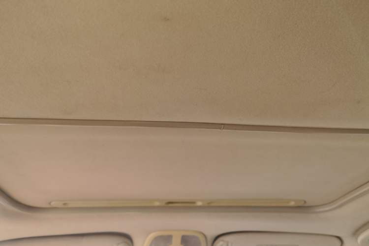 Used RELY V5 2009 1.8L Manual Luxury Model Headliner