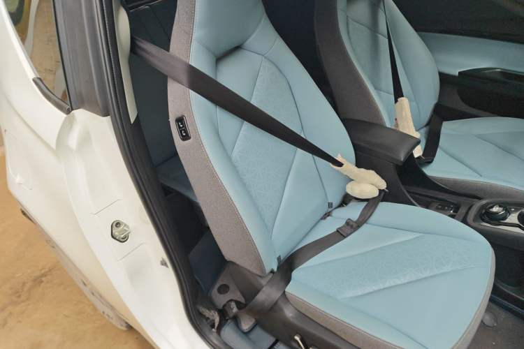 Used Chery Little Ant 2022 Sweet Pink Edition Half-Sugar Version Lithium Iron Phosphate 30 kW 301 km Right Front Seat