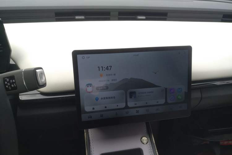 Used Chery Little Ant 2024 Facelifted 321km Beloved Edition