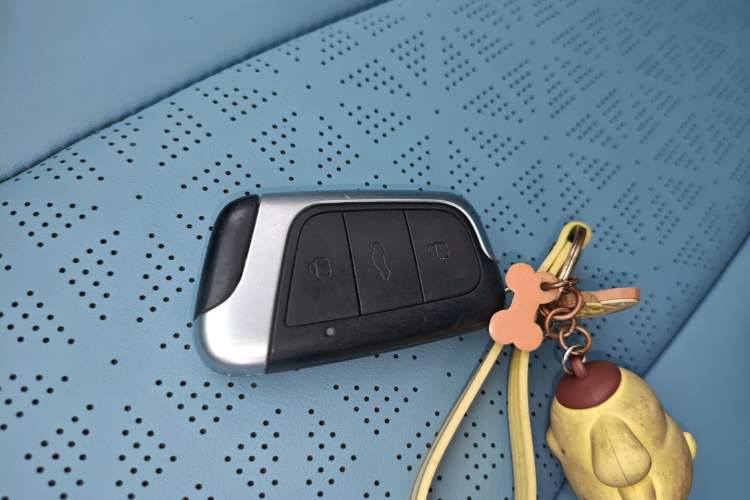 Used Chery Little Ant 2023 251km True Love Edition Lithium Iron Phosphate Vehicle Key