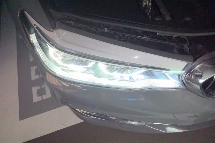 Used BMW 5 Series New Energy 2019 530Le Luxury Package