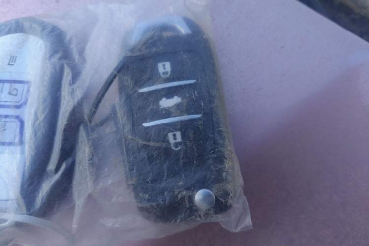 Used Geely Galaxy Panda 2025 210 km – Yuanqi Bear Vehicle Key