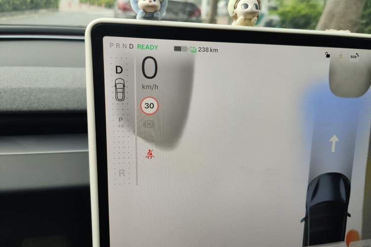 Used Tesla Model 3 2023 Rear-Wheel-Drive Version Gear Lever