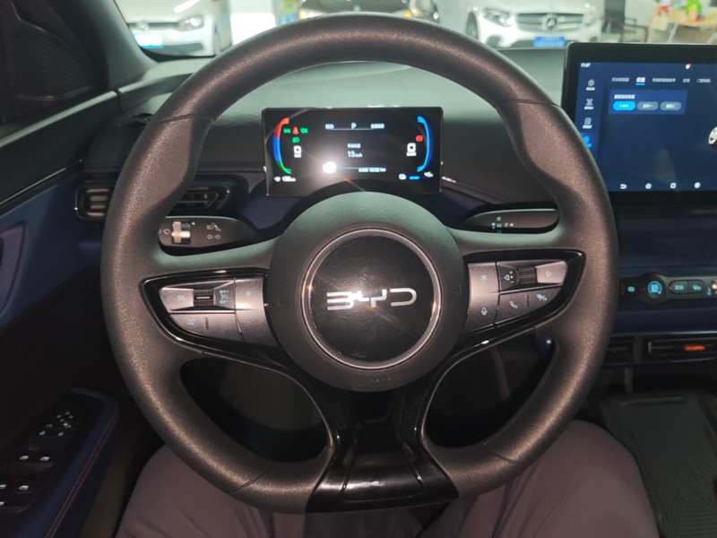 Used BYD Seagull 2025 Intelligent Driving Version 305 km Dynamic Edition — 10