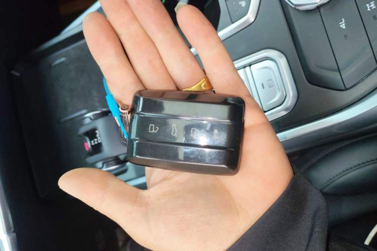 Used Tank 400 New Energy 2023 Hi4-T Super Edition Interior 1