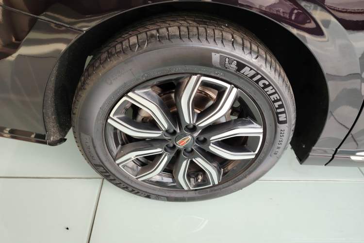 Used Hongqi HQ9 2023 2.0T Smart Connect Flagship Edition Exterior 5