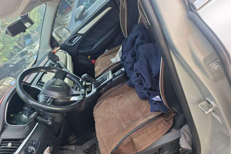 Used Roewe RX5 New Energy 2019 eRX5 50T Internet-Enhanced Flagship Edition Left Front Seat