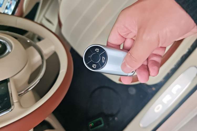 Used ORA Ballet Cat 2023 401 km Luxury Version Interior 1