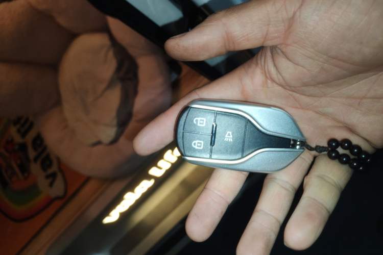 Used BAW Free Kingdom vala 2025 All-Electric Version Vehicle Key