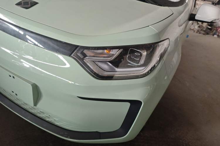 Used SOL E10X 2022 Flower Fairy Design Four-Leaf Clover
