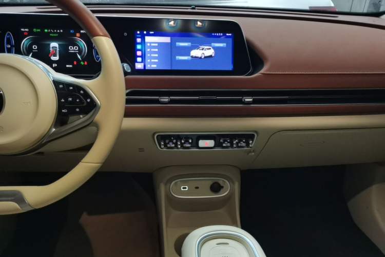 Used ORA Good Cat 2024 401 km Luxury Version
