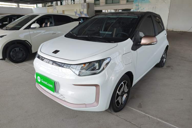 Used SOL E10X 2022 Flower Fairy Design Sunflower