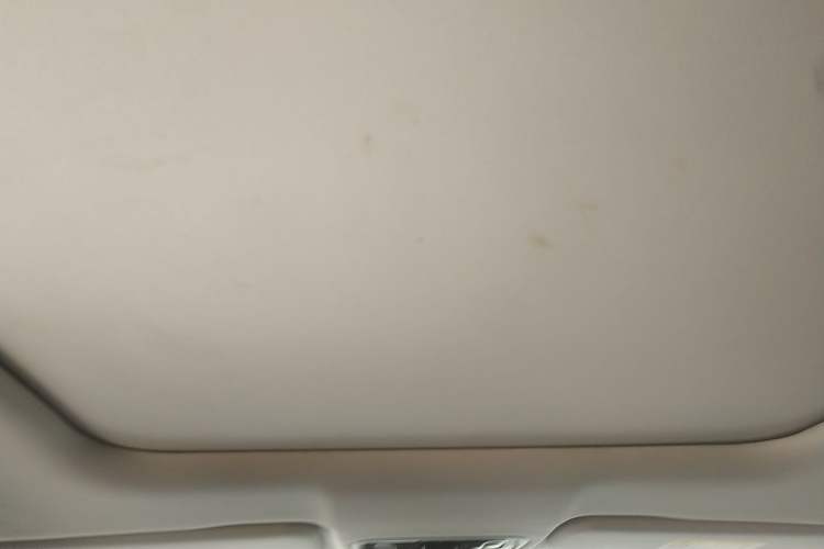 Used Leapmotor C11 2021 Executive Edition 510