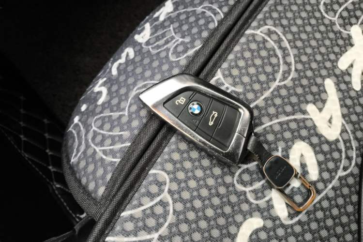 Used BMW X2 2019 sDrive20i M Sport Package China VI Emission Standard
