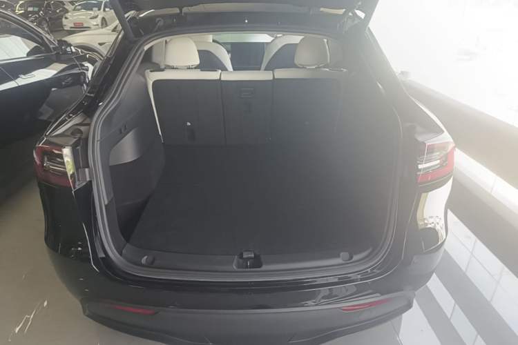 Used Tesla Model Y 2021 Standard Range Rear-Wheel Drive Version
