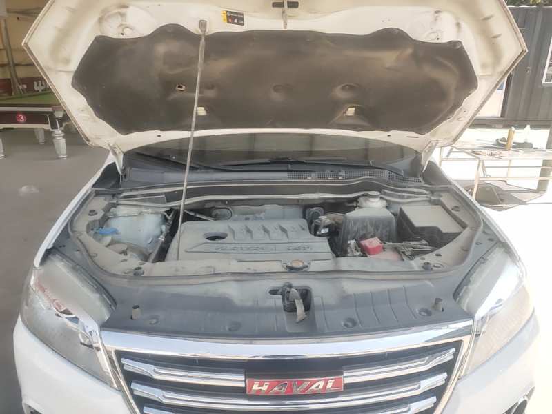 Used Haval H6 2018 Red-Label Sport Version 1.5T Manual Two-Wheel Drive Elite Model — 19