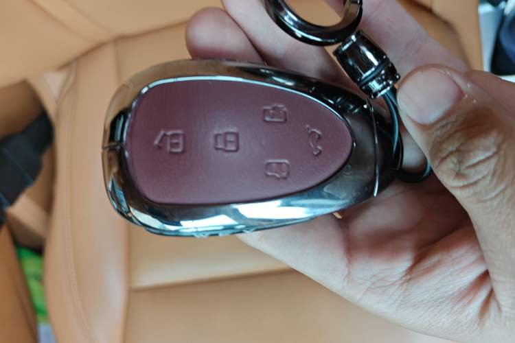 Used Wey Gaoshan 2025 Four-Wheel Drive Alpine 8
