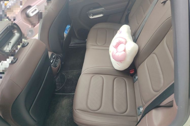 Used smart #5 2024 Ultra-Long Range Extraordinary Journey Luxury Edition
