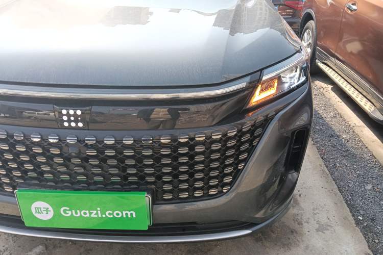 Used Landian E5 2024 Honor Edition 100KM Premium Model 7 Seats