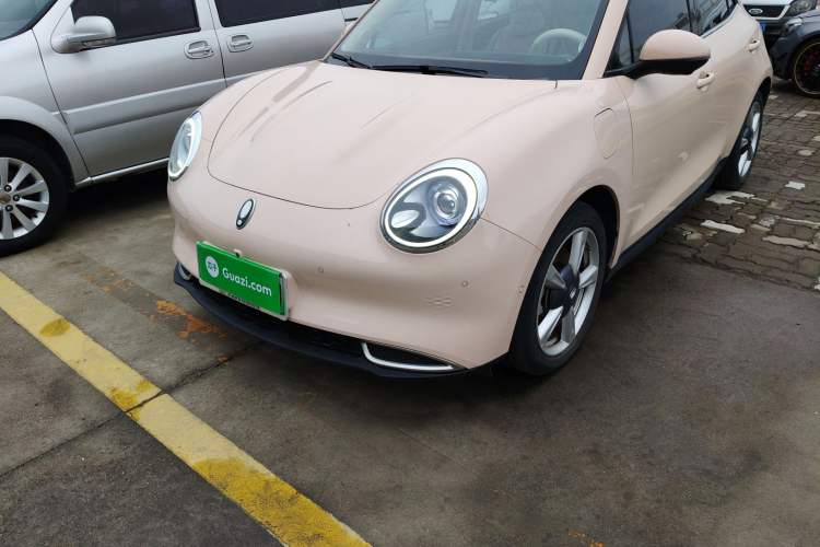 Used ORA Good Cat 2022 Morandi Edition 400km Standard Range Premium Version Lithium Iron Phosphate
