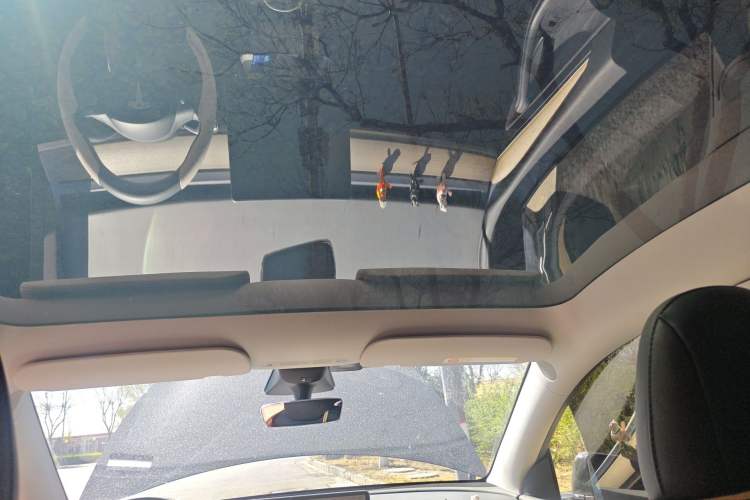 Used Tesla Model Y 2022 Rear-Wheel-Drive Version Headliner