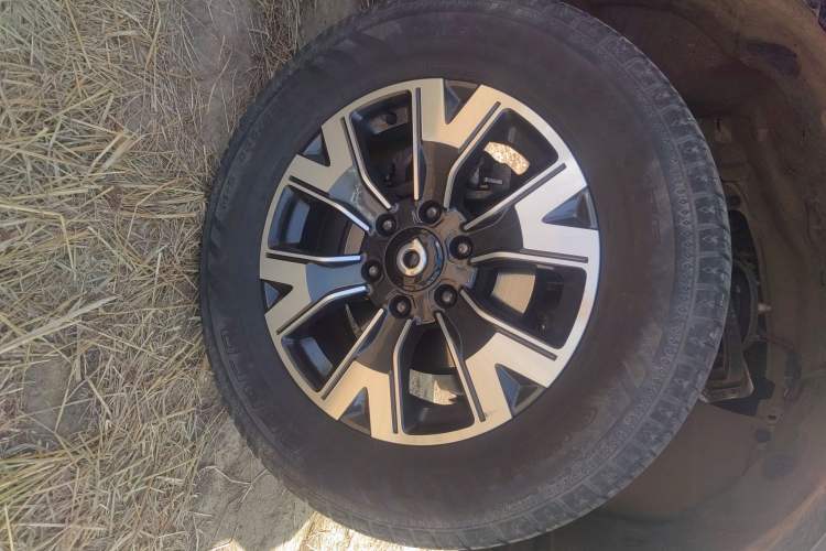 Used Great Wall Poer 2019 2.0T Automatic Gasoline Two-Wheel Drive Comfort Edition GW4C20B