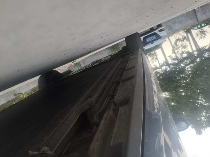 Used BYD Dolphin 2024 Honor Edition 420km Freedom Version — 21
