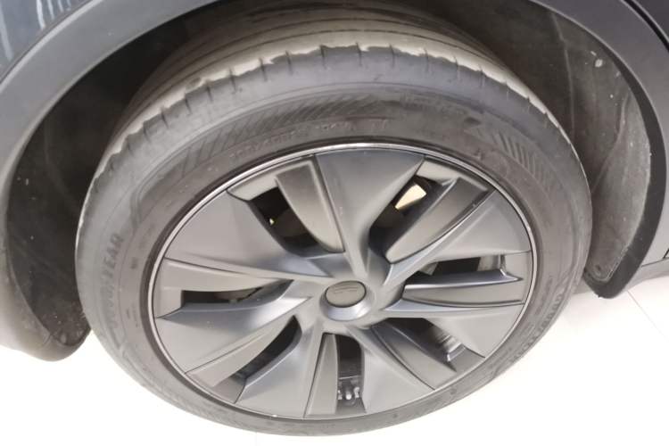 Used Tesla Model Y 2024 Rear-Wheel-Drive Version Exterior 5
